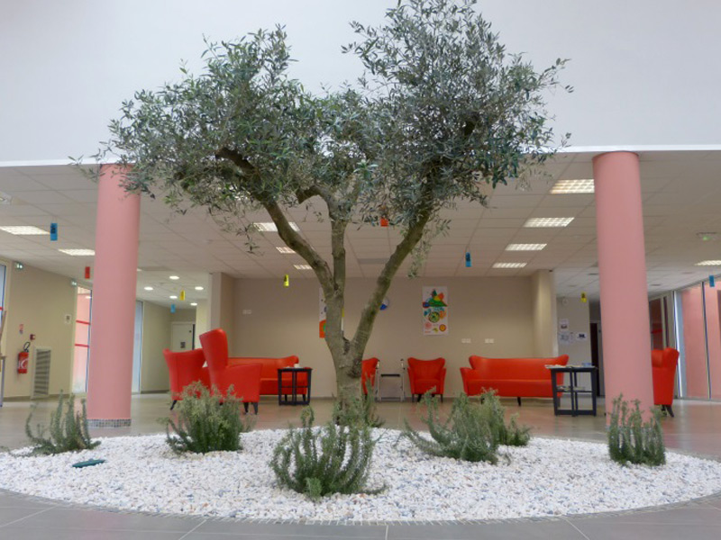 ehpad-octime-expresso